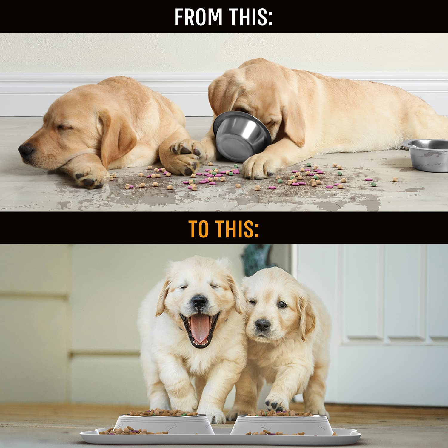 Active Pets Stainless Steel No Spill Dog Bowl Set - Mess-Proof Food & Water Bowls with Skid Resistant Mat, Small, Medium & Large Sizes